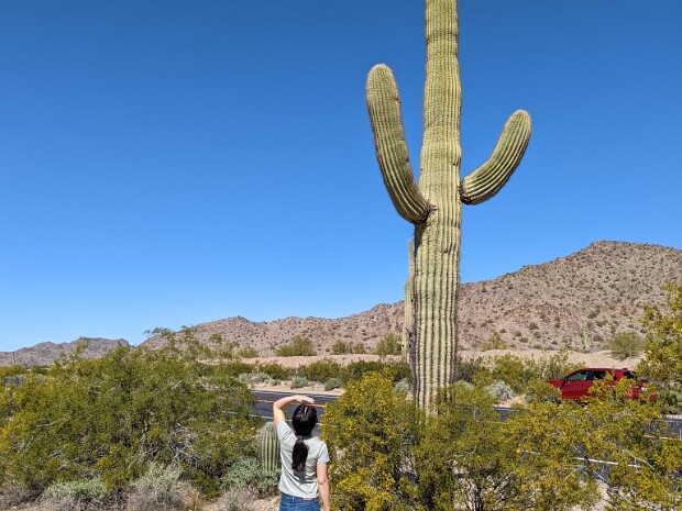 Southwest 2022 Our Visit to the Desert Southwest